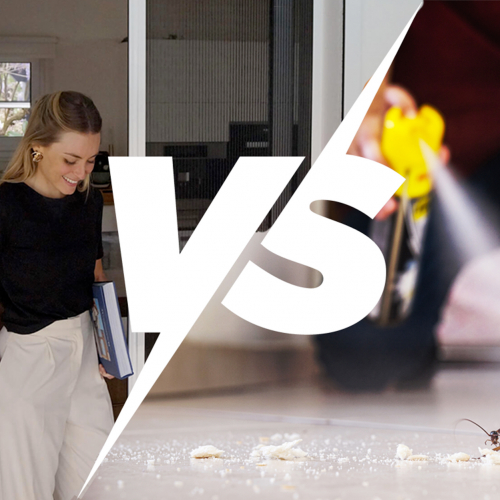 Moustiquaire No Mozkito vs Insecticide