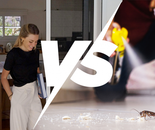 Moustiquaire No Mozkito vs Insecticide